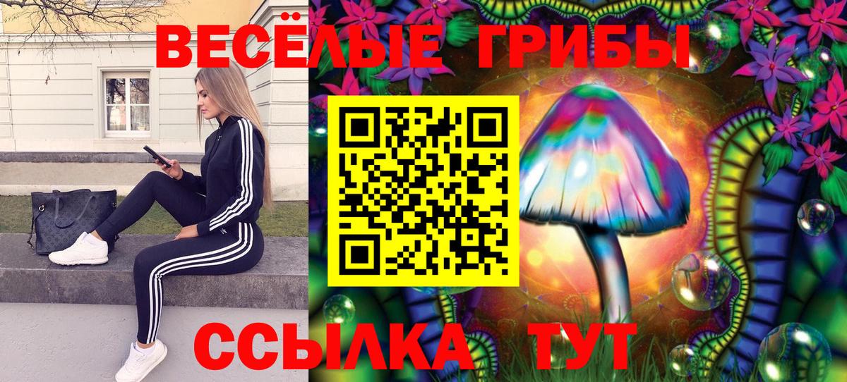 как найти закладки  Вход с VPN  Мыски  Галлюциногенные грибы мицелий 