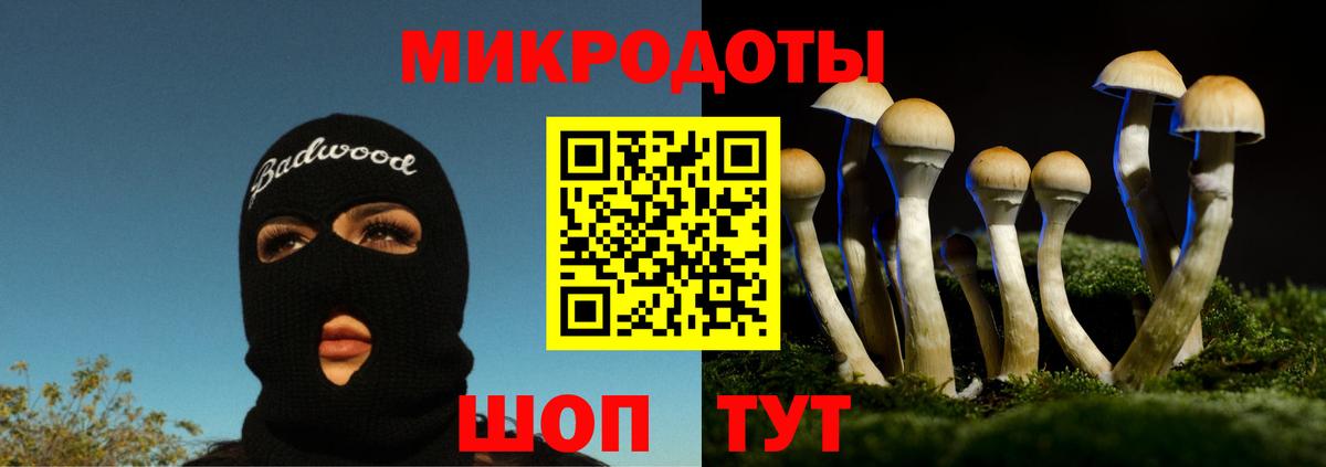Галлюциногенные грибы ЛСД Мыски