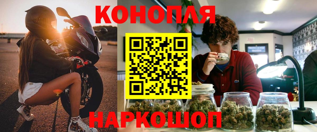 Шишки марихуана AK-47 Мыски